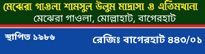 School Logo